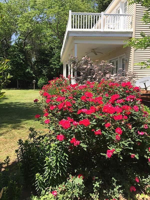 The Baywood Bed & Breakfast Cape Charles Extérieur photo